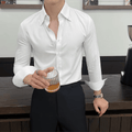 Camisa de vestir