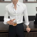 Camisa de vestir